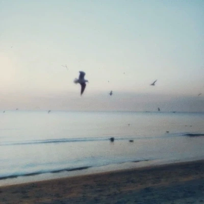 عکس : 🌊‌ sea
