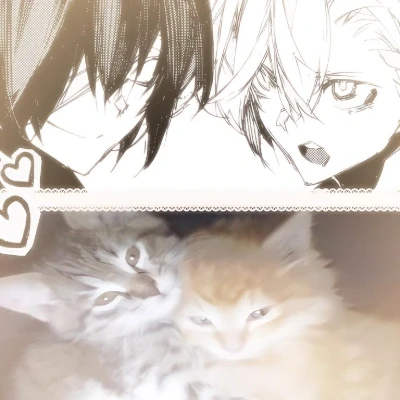 عکس ꒱‌✿֔ᮬ