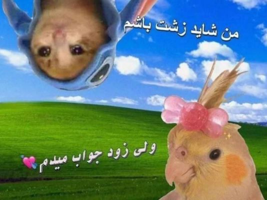 عکس