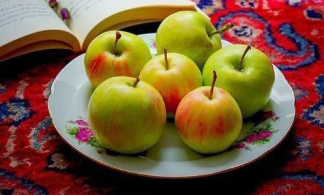 عکس