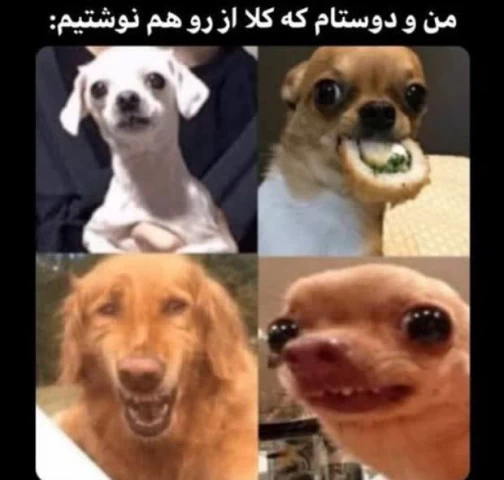 عکس