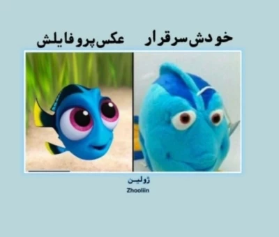 عکس