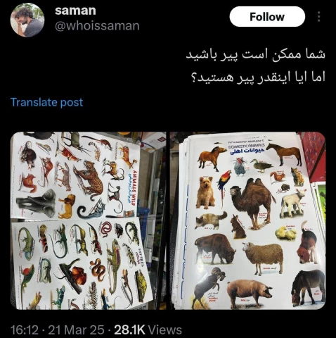 عکس