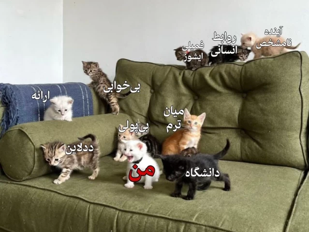 عکس