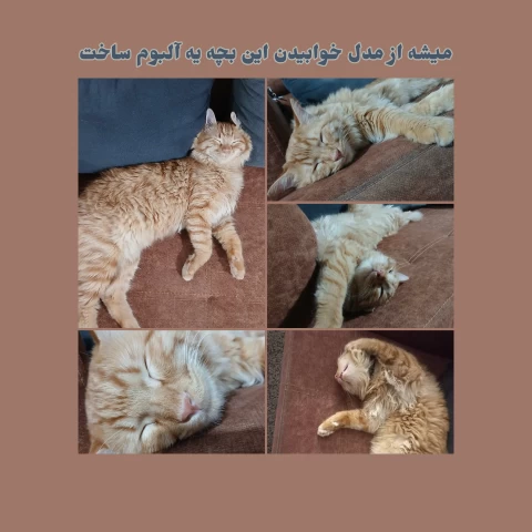 عکس