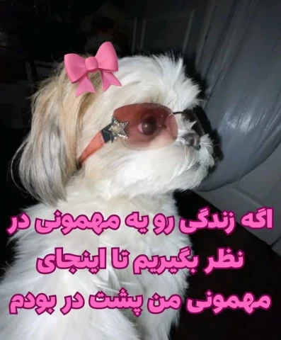 عکس