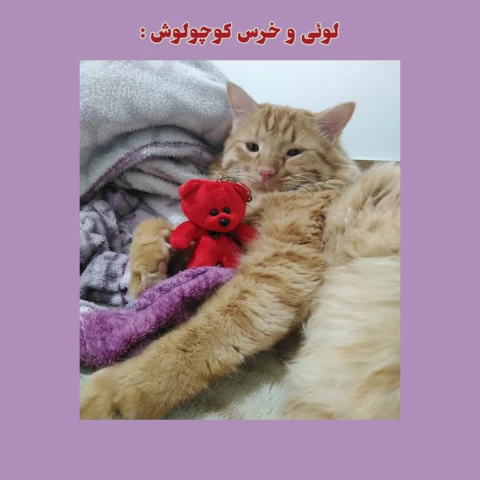 عکس