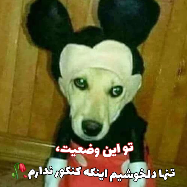 عکس