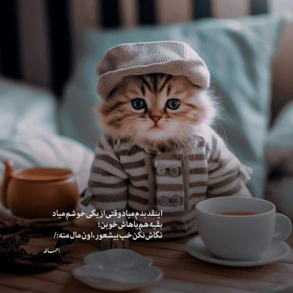 عکس