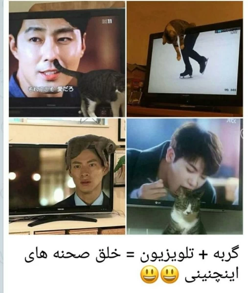 عکس