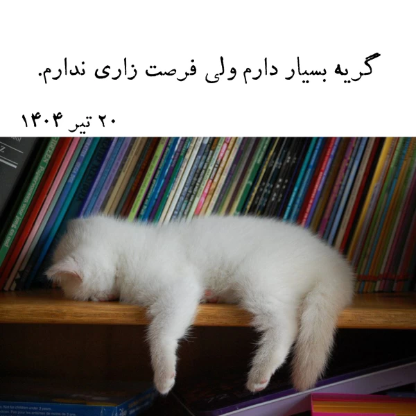 عکس