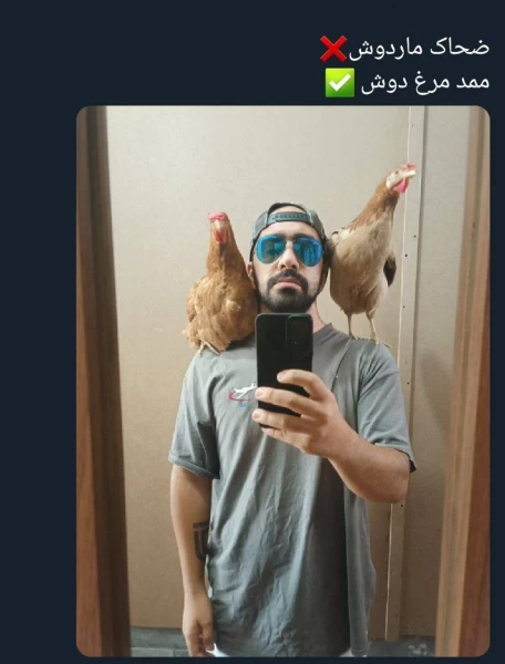 عکس