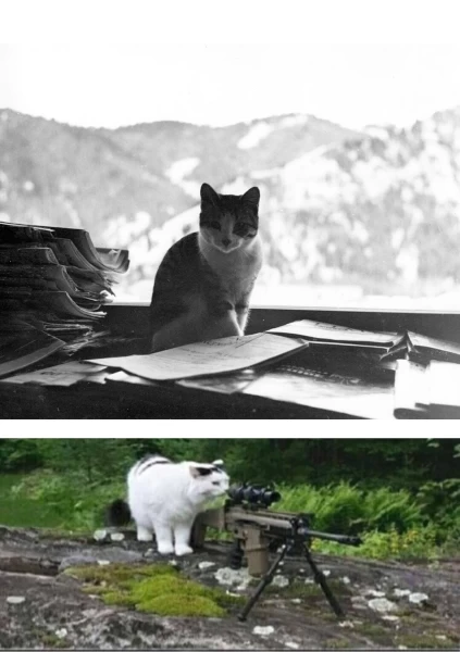 عکس
