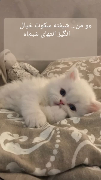 عکس