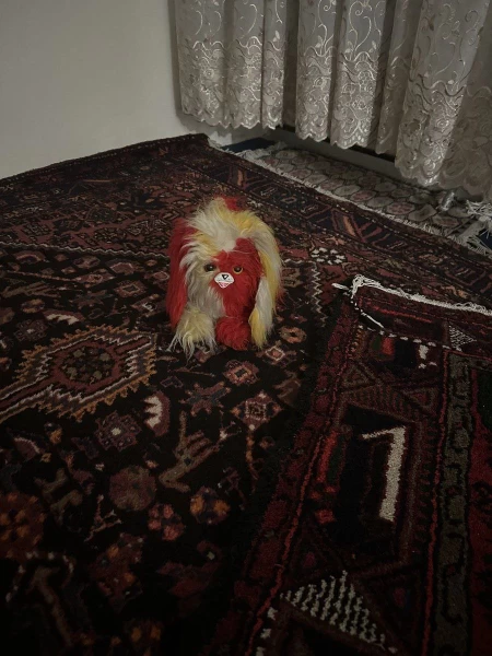 عکس