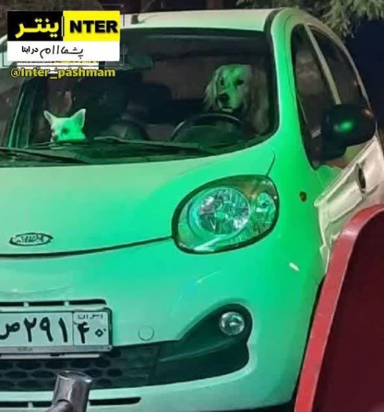 عکس