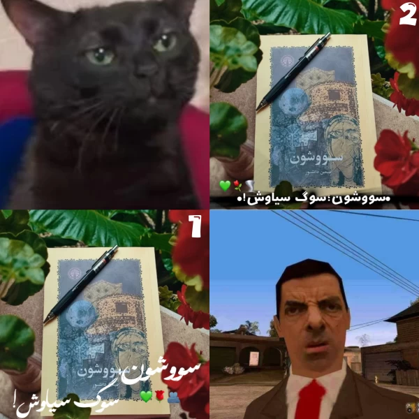 عکس