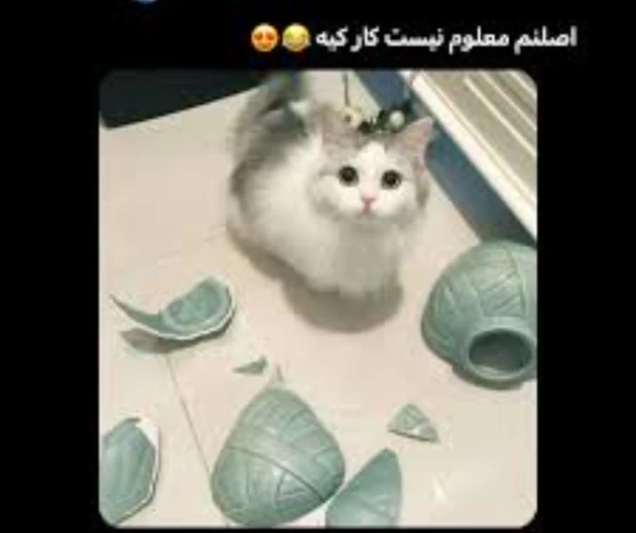 عکس