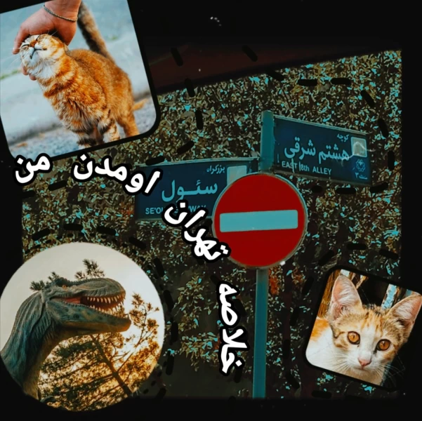 عکس