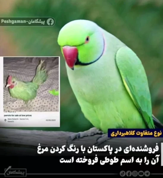 عکس
