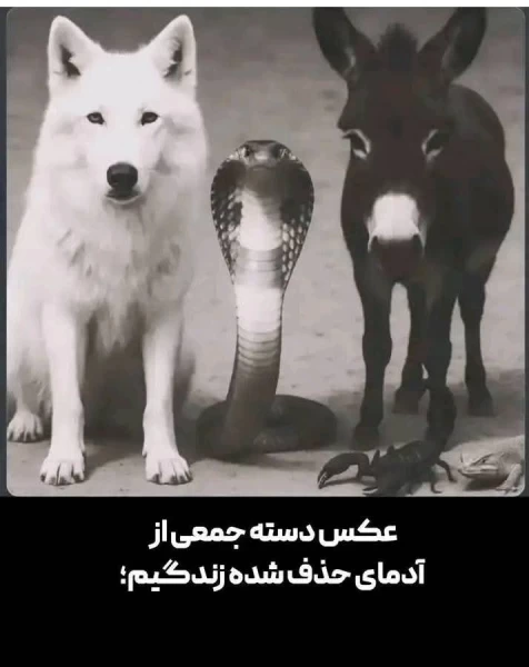 عکس