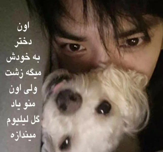 عکس