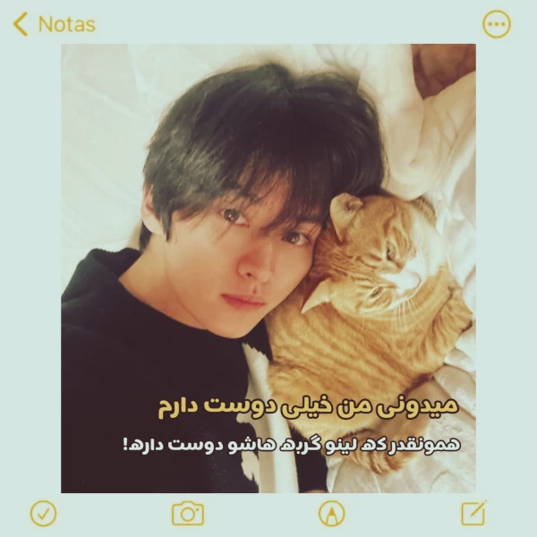 عکس