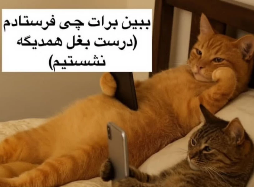 عکس