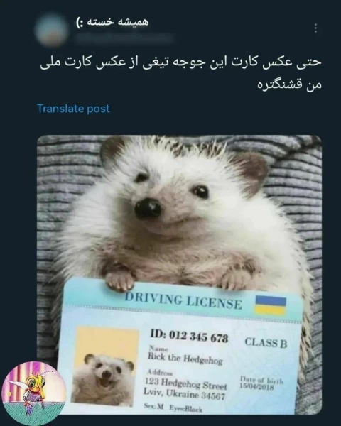 عکس