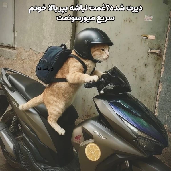 عکس
