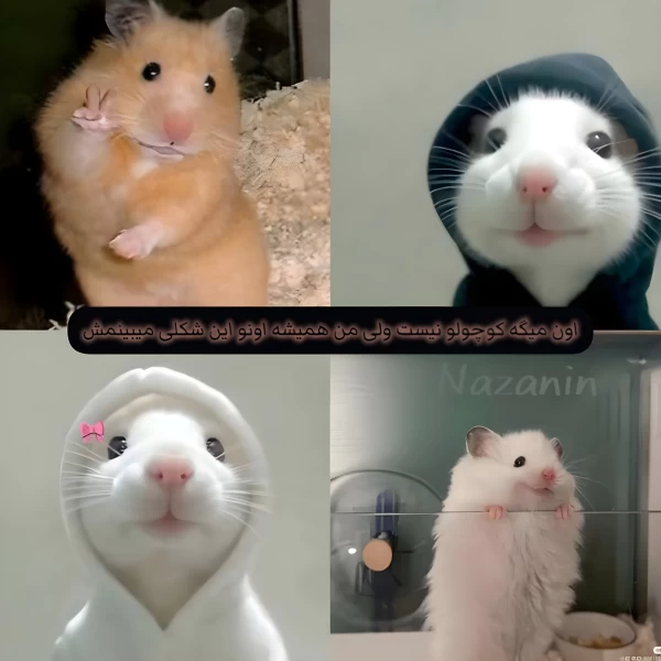 عکس