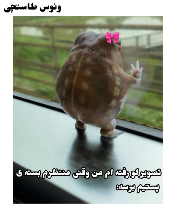 عکس