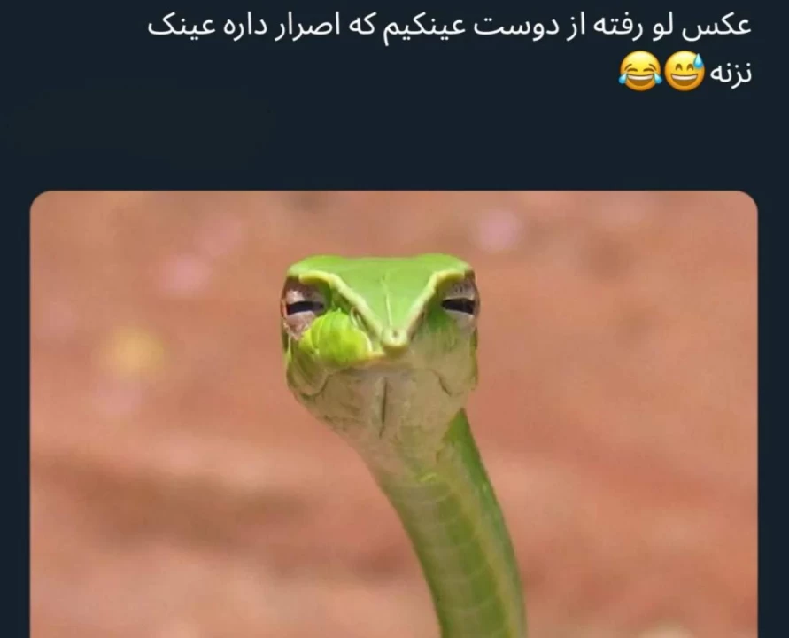 عکس