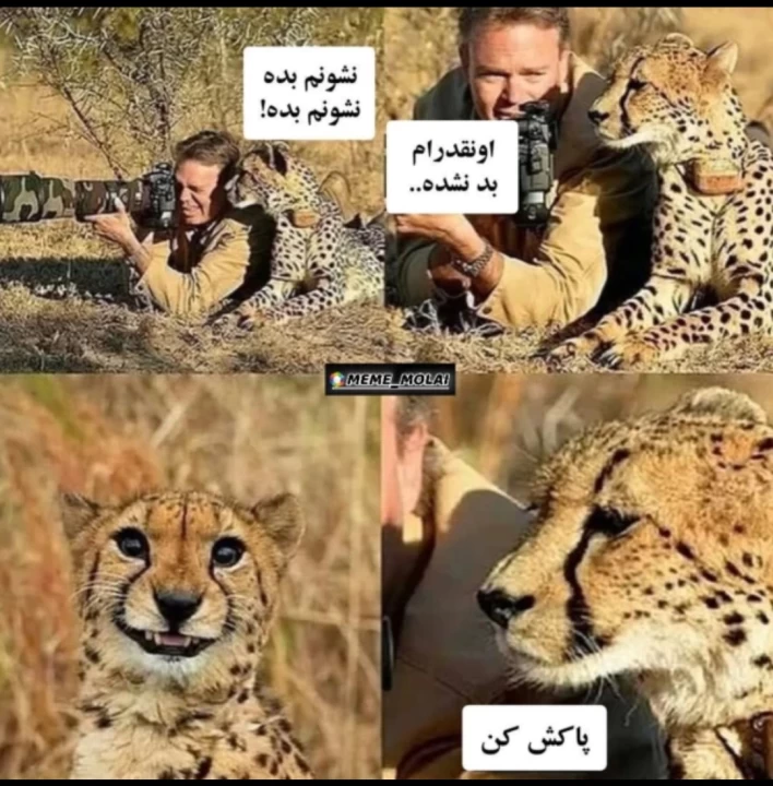 عکس