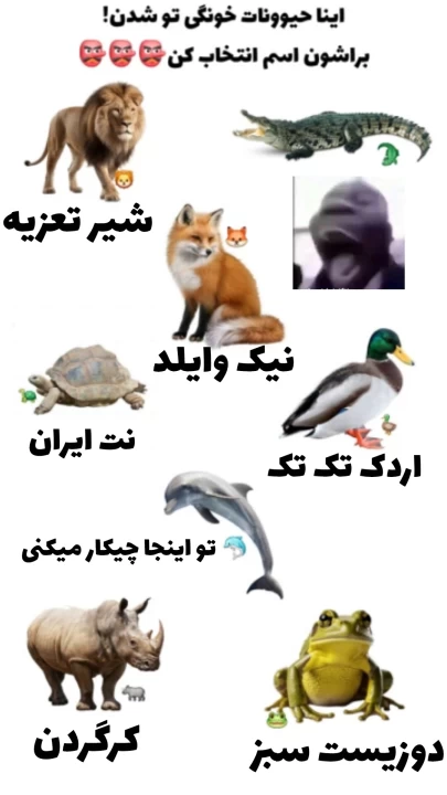 عکس