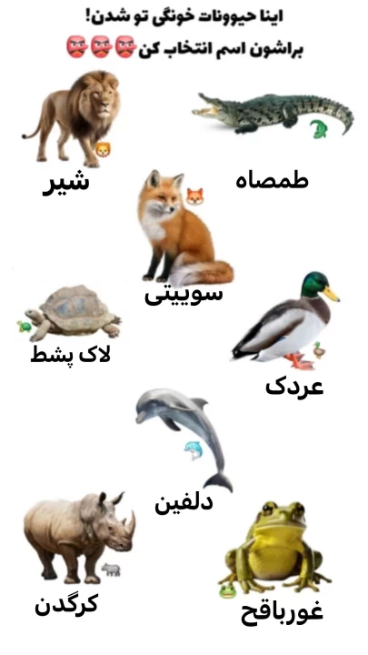 عکس