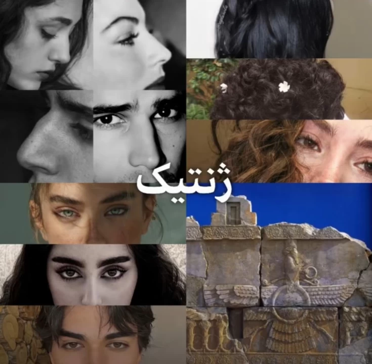 عکس