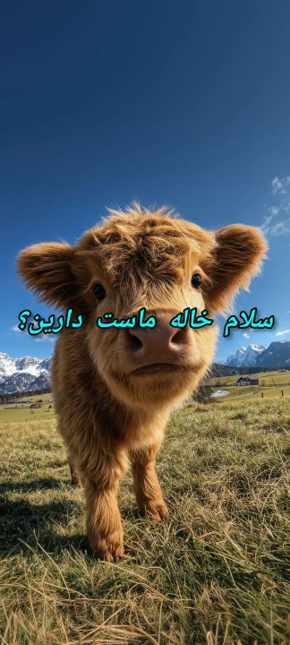 عکس