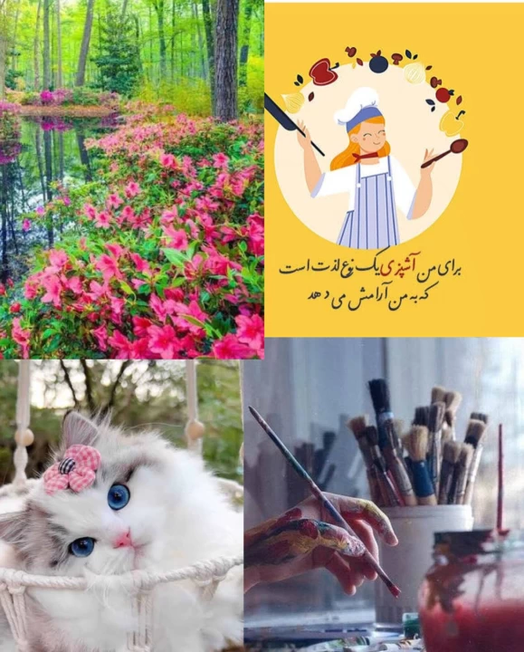 عکس