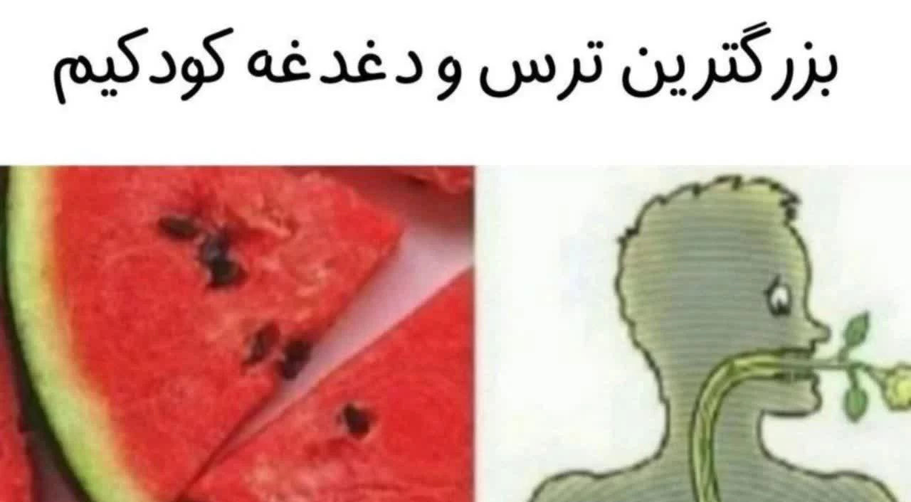 عکس