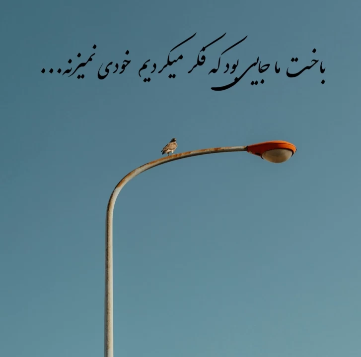 عکس