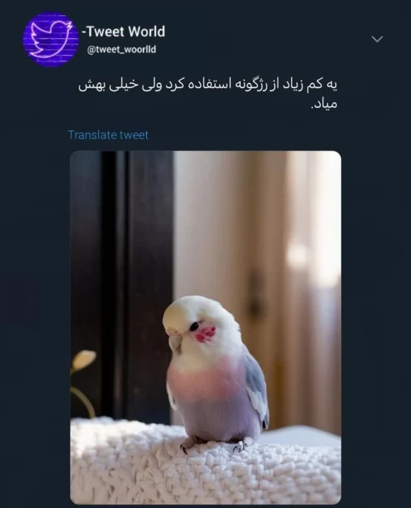 عکس