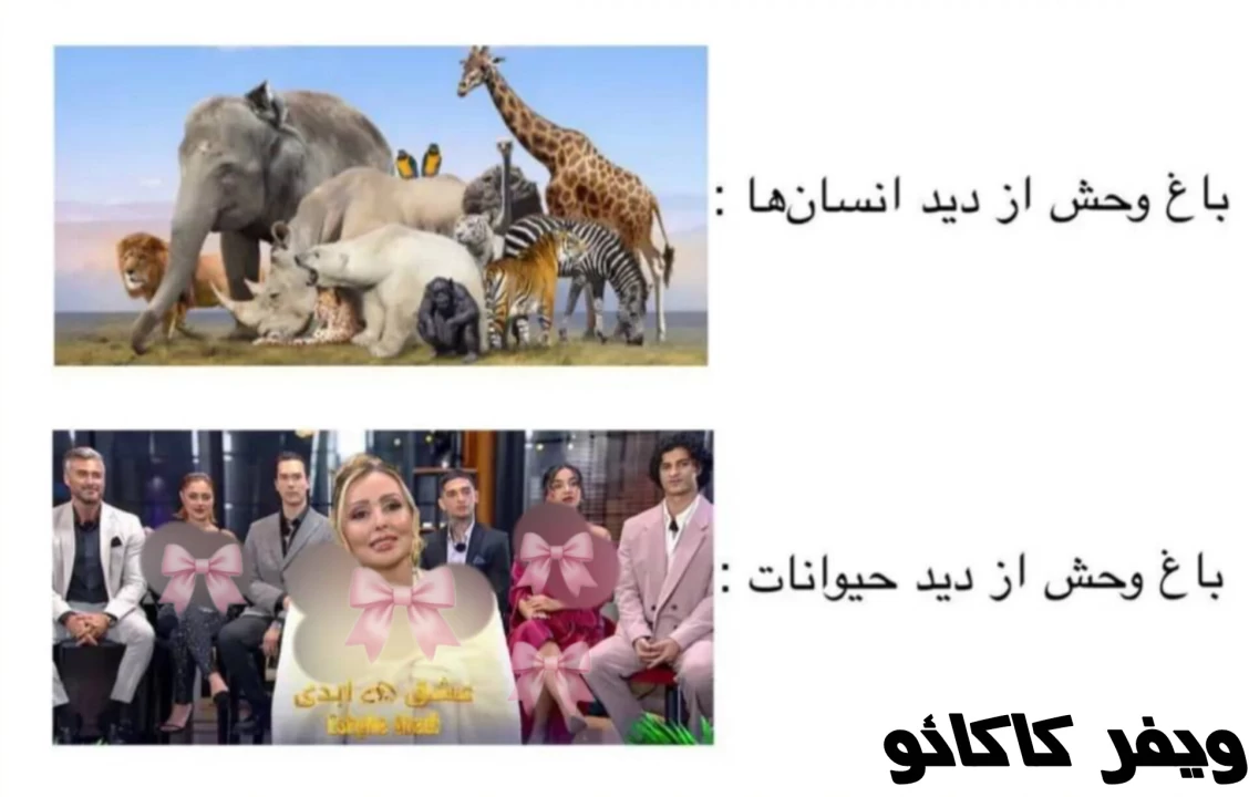 عکس