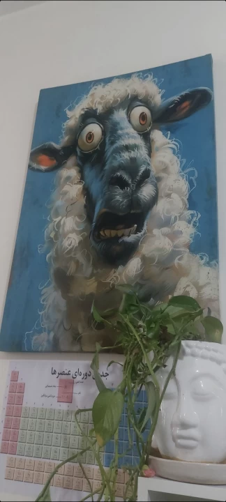 عکس