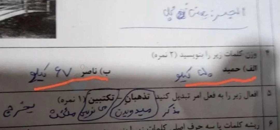 عکس