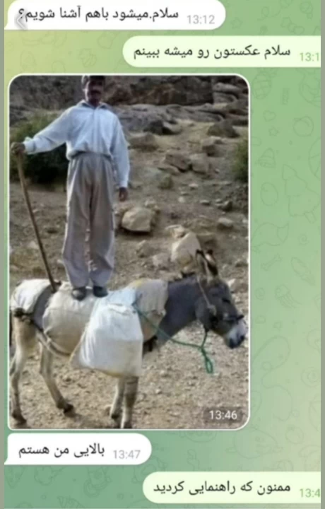 عکس