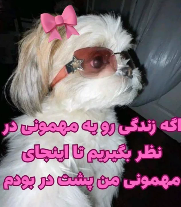 عکس