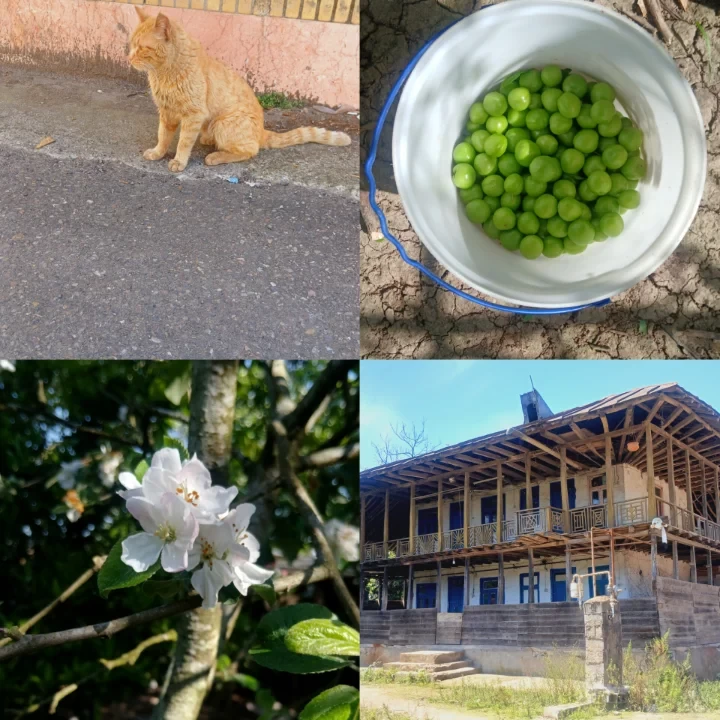 عکس
