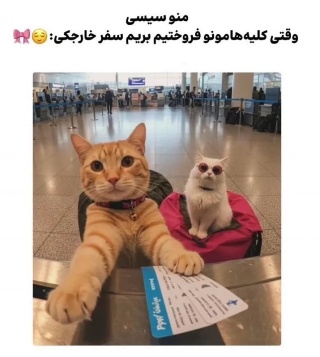 عکس