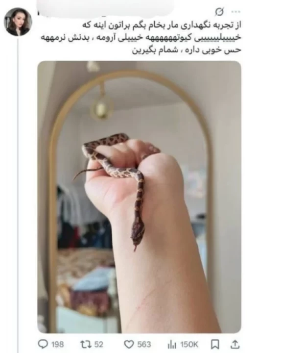 عکس